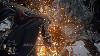 ELDEN RING 黒き剣の眷属(ケイリッド･獣の神殿)
