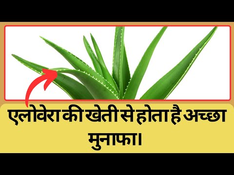 Aloe Vera Juice