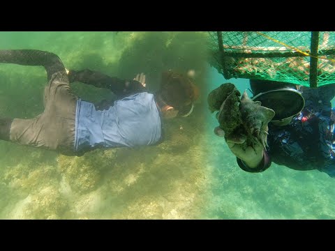 SE02EP007 Part 1 - PANGUNGUHA ng SAANG / SPIDER SHELL (Collaboration with TEAM WATSIK) Isla GRANDE