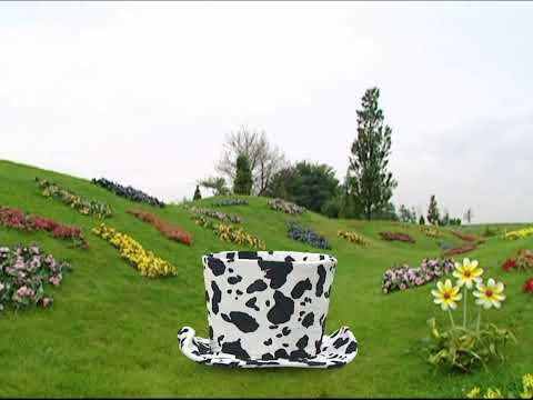 Teletubbies: Dipsy's Hat (2007)