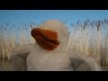 A Special Birthday Message For Iris From A Duck