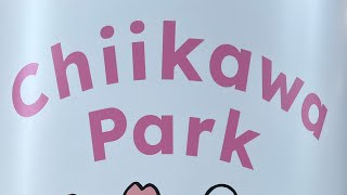 社会人日記213日目