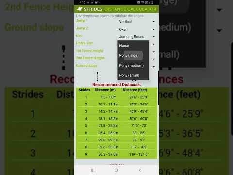 Strides Distance Calculator