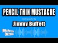 Jimmy Buffett - Pencil Thin Mustache (Karaoke Version)
