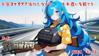 【EFT　PvE】お昼近くまでタルコフシューター1の続きやるぞ！【配信アーカイブ】 #バ美肉おじさん #ホリちゃん #tarkov