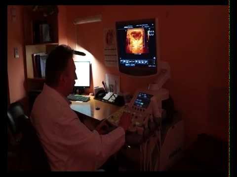 тари узи бобруйск