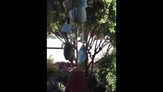 Mc Kenzie in the breeze. Marta Stafford Fine Art in  Marble