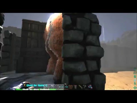 Ark Survuval Evolved Simple way to Tame a Gigantopithecus!!!!