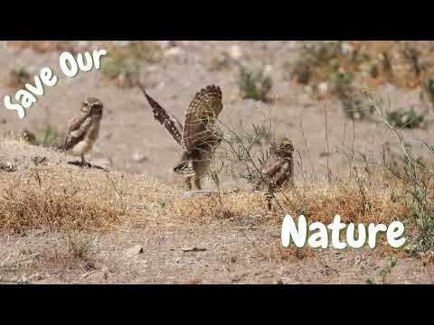 Alikanto Chile...caminando Monte Patria. Región de Coquimbo. Chile