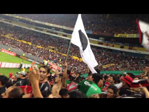 "Barra 51 2015 atlas vs colo-colo copa libertadores" Barra: Barra 51 &bull; Club: Atlas