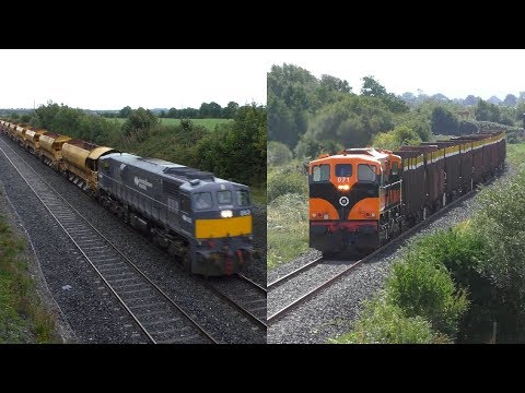 083 on HOBs; 078 LE; 071 on timber @ Hybla & Cloney, Co. Kildare (23-8-2018)