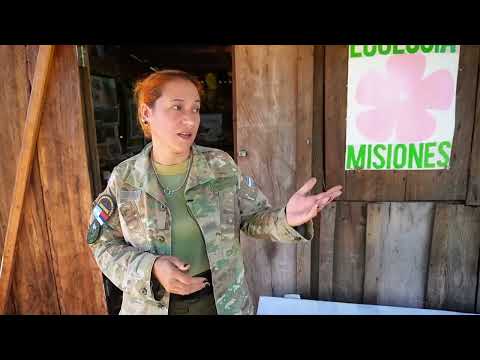 Manual de Historia sobre Fachinal, Misiones: PARQUE PROVINCIAL