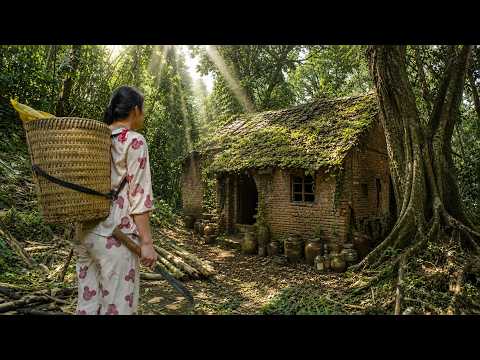 The girl's unhappy life in the dangerous natural forest.  - Tâm new life