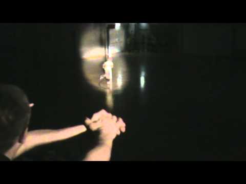 Oplopen KOAG B1 - Trekvogels B1