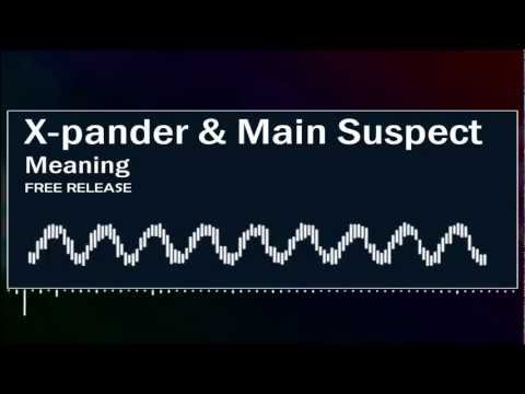 X-Pander & Main Suspect - Meaning [FULL] (HQ + HD)