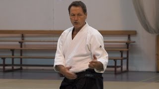 Aikido: Christian Tissier - Belgium 2013