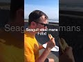 Seagull Steals Mans Food Funny Drone Entertainment