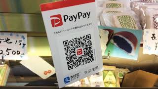 報告動画