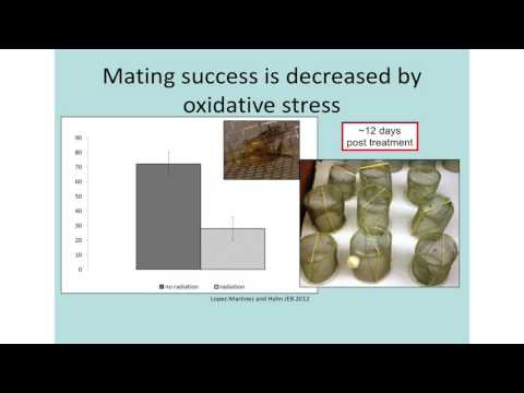 Giancarlo Lopez Martinez