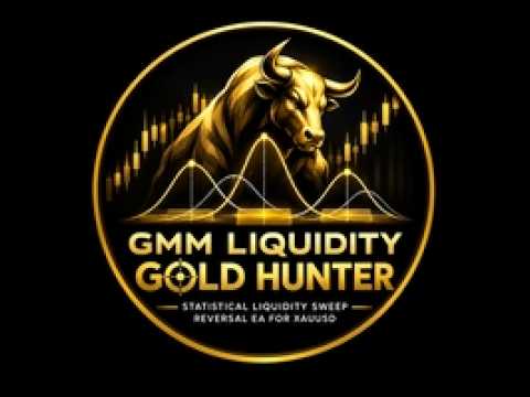 Video GMM Liquidity Hunter