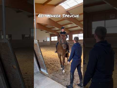 , title : 'Welche Sprüche kennst du noch?😄 #pferd #reiten #equestrian #reitsport #pferde #short #shorts #horse'