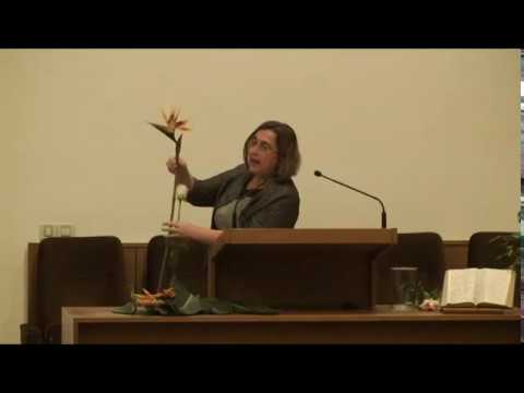 Strelitzia, cvijet koji je spreman poletjeti – Debby Birach-Mayer, 28.9.2016