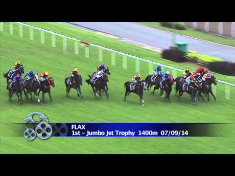 Longines Singapore Gold Cup 2014 Contenders (Flax)