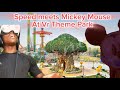 Speed Meets Up With Mickey Mouse