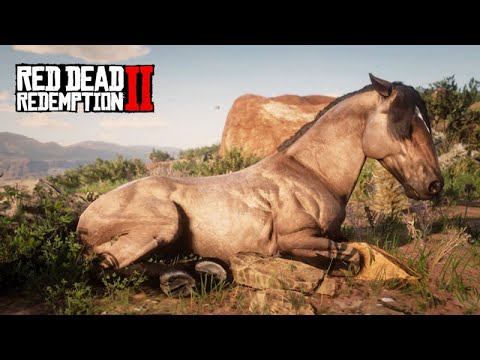 THE HORSE TAMER - In search of the BRIDGE MUSTANGE - Red Dead Redemption 2 - 13