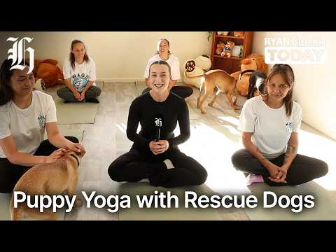 Thumbnail for W.A.G.S Rescue NZ combines furry friends with fitness | Ryan Bridge TODAY