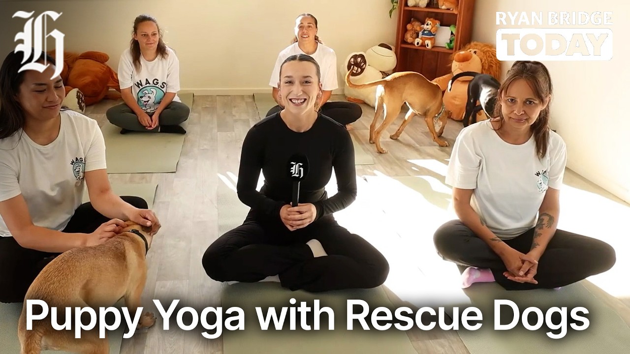 W.A.G.S Rescue NZ combines furry friends with fitness | Ryan Bridge TODAY