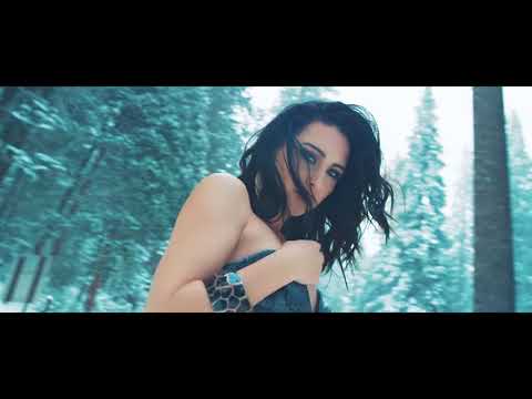 Markus Schulz feat. Nikki Flores - We Are The Light | Official Music Video