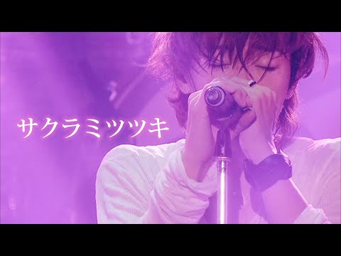 SPYAIR - 벚꽃만월 (サクラミツツキ/sakura mitsutsuki) / 한글자막