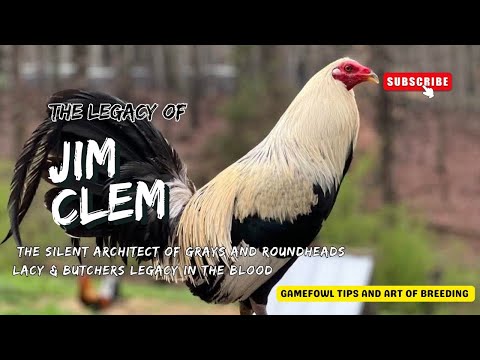 Jim Clem: The Silent Architect of Grays and Roundheads | Lacy & Butcher Legacy in the Blood