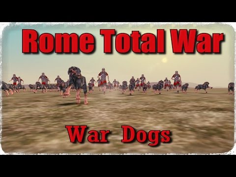 Dogs Rome Total War Test