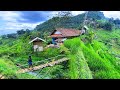 DIJAMIN BETAH MENIKMATI HIDUP DI KAMPUNG YANG INDAH ALAM DESANYA SUASANANYA ADEM AYEM TENTRAM