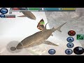 Furious Great White Shark VS Angry Deep Sea Fangtooth Boss Fish Ultimate Shark Simulator