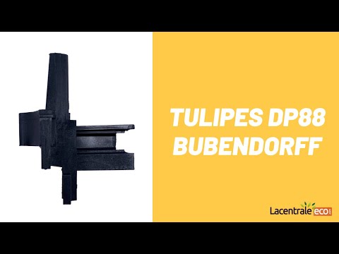 Présentation Tulipes DP88 - Bubendorff