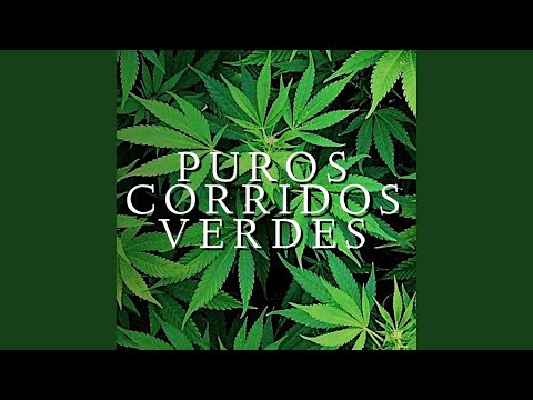 El Cigarrito Bañado