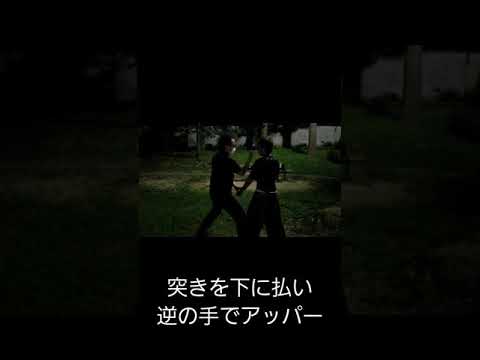 八極拳 突きを下に崩してアッパー👊 アッパーから実は色々変化します٩(๑•ㅂ•)۶ #shorts