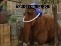 Sesame Street Snuffy Slimey Play Hide And Seek