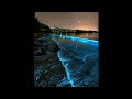 Don Toliver No Idea Slowed Reverb