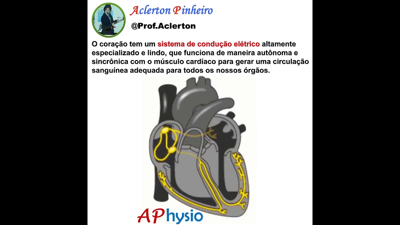Condução elétrica cardíaca
