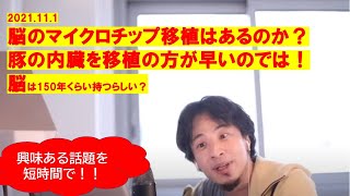 【ひろゆき】#脳のマイクロチップ移植?豚の臓器移植のほうが早い?【ひろゆき切り抜きワンポイント】