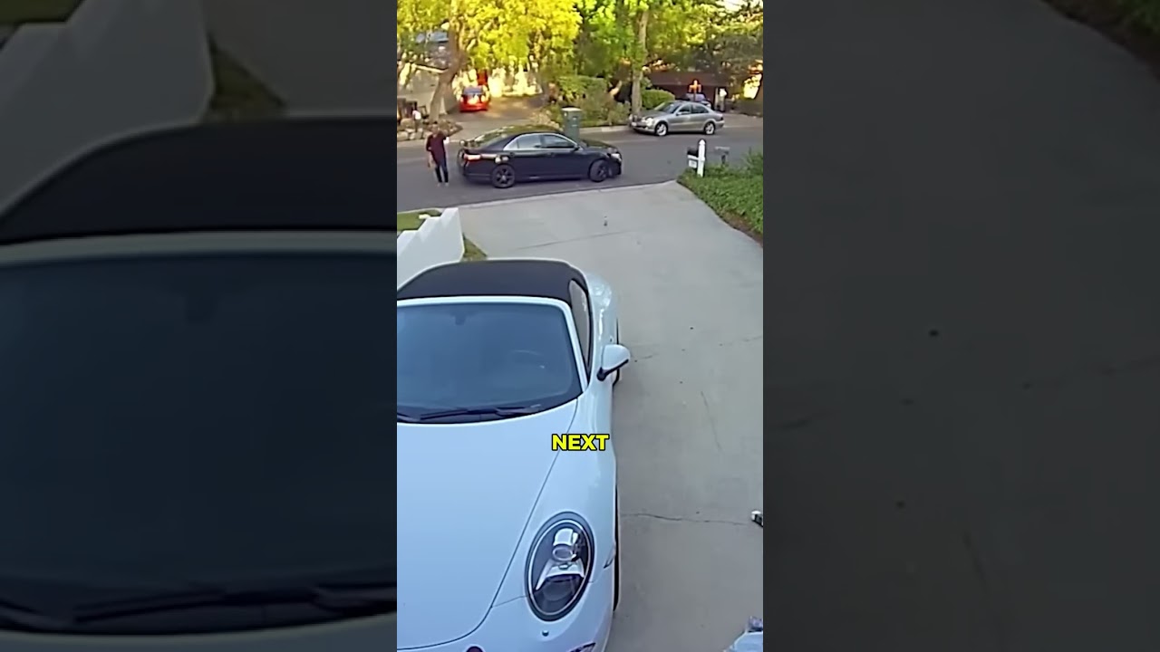 Dog warned his owner about THIS hiding near the house! 🤯⚠️#cuteanimals #smartanimals #dogs