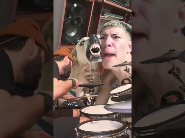 Vídeo relacionado con Unicornio Death Metal/Heavy Metal Negro Diseño Divertido Camiseta