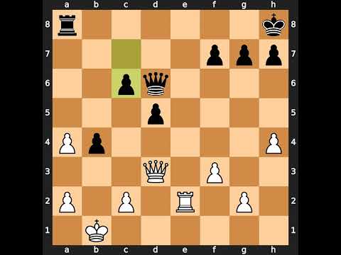 Anatoly Karpov-Evgeny Bareev, Tilburg 1991, Result: 1/2-1/2