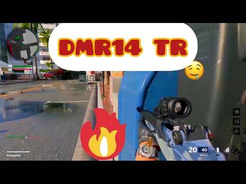 COD Black Ops Cold War Team Deathmatch DMR14 TR class set up