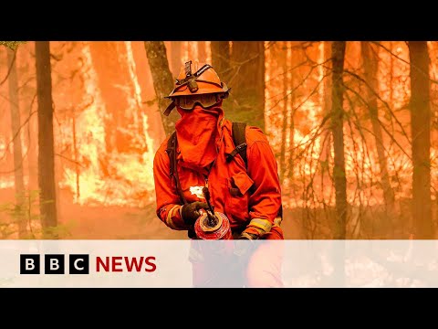Video | Is the UN warning of 3.1C global warming a surprise? | BBC News