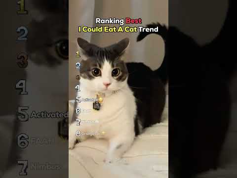 Ranking Best I Could Eat A Cat Trend